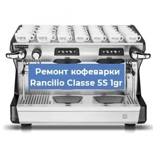 Чистка кофемашины Rancilio Classe 5S 1gr от кофейных масел в Челябинске